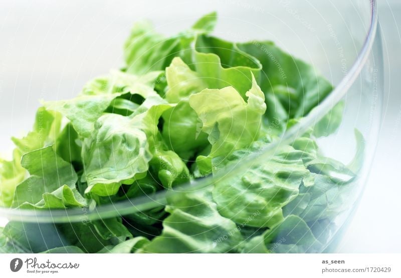 Veggie Day Lebensmittel Gemüse Salat Salatbeilage Ernährung Mittagessen Büffet Brunch Bioprodukte Vegetarische Ernährung Diät Fasten Schalen & Schüsseln