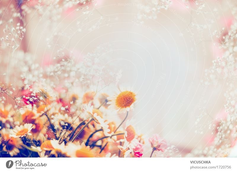 Romantische Margeriten Blumen auf hellem Hintergrund Stil Design Sommer Natur Pflanze Blatt Blüte Blumenstrauß Liebe retro Hintergrundbild Rahmen Postkarte