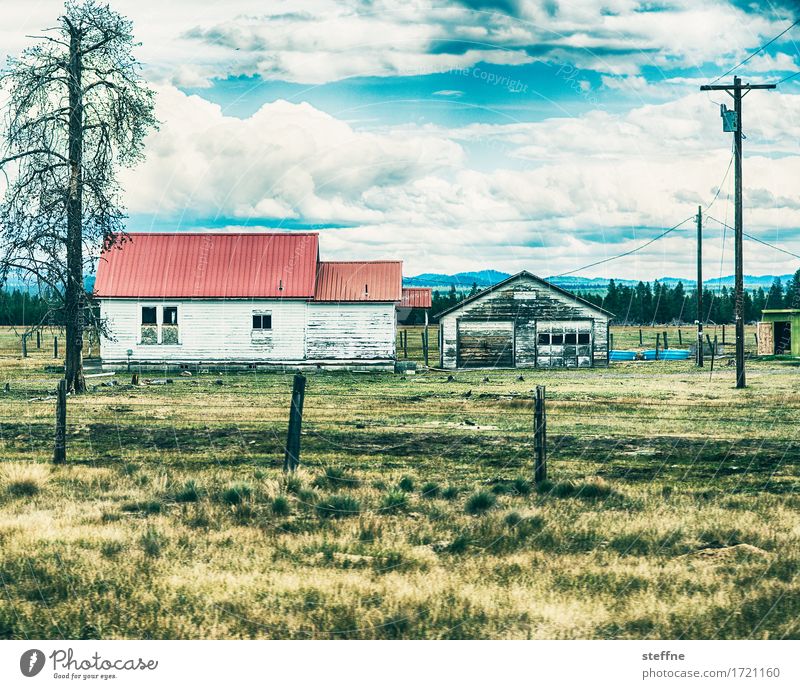 Farm Haus Hütte trist trocken USA Oregon Bauernhof Landwirtschaft Farbfoto Außenaufnahme Textfreiraum oben Textfreiraum unten
