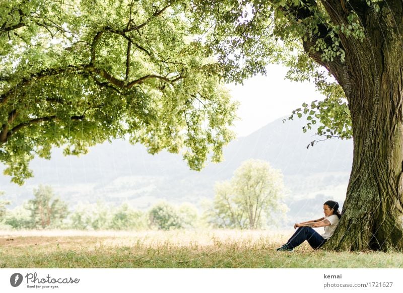 Unter einem Baum sitzend Lifestyle stimmig Wohlgefühl Zufriedenheit Erholung Windstille Freizeit & Hobby Ferien & Urlaub & Reisen Ausflug Freiheit Sommer Mensch