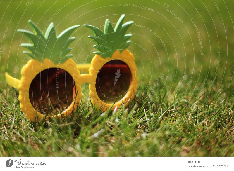 summerfeeling Freizeit & Hobby Wohnung Zeichen gelb grün Gefühle Stimmung Sonnenbrille Brille lustig Ananas Stil Garten Wiese Wetterschutz sommerlich Sommer