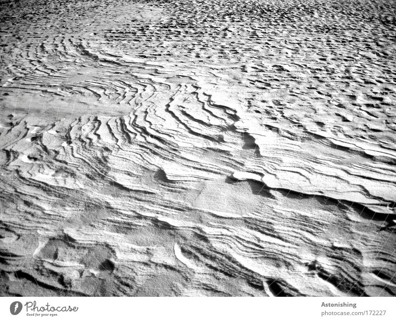Schnee - Relief Umwelt Natur Winter Eis Frost kalt weiß Schwarzweißfoto Außenaufnahme Menschenleer Schatten Kontrast Hintergrundbild Schneedecke