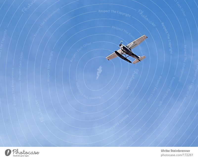 Wasserflugzeug am blauen Himmel Außenaufnahme Luftaufnahme Menschenleer Textfreiraum links Textfreiraum unten Hintergrund neutral Tag Technik & Technologie