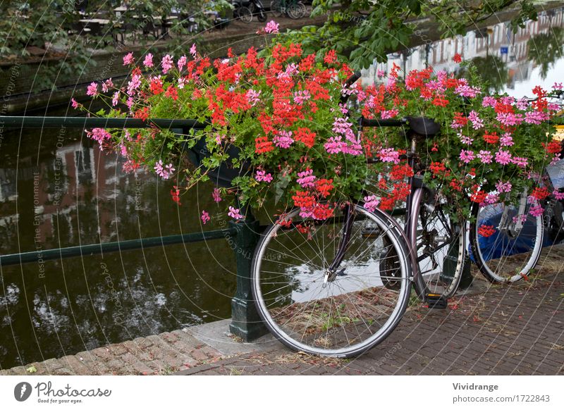 Fahren Sie auf eine Brücke Amsterdam, die Niederlande rad Ferien & Urlaub & Reisen Tourismus Ausflug Sightseeing Sommer Fitness Sport-Training Fahrradfahren