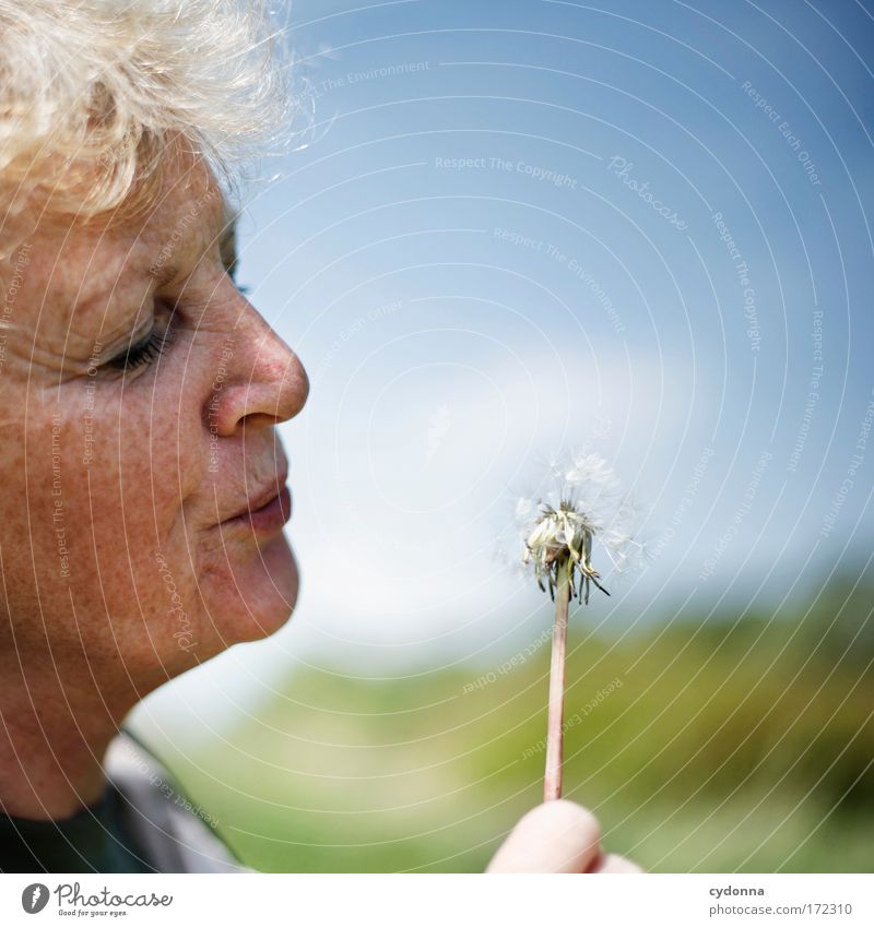 Pusteblume Mensch Frau Erwachsene Weiblicher Senior Gesicht 45-60 Jahre Umwelt Natur Himmel Pflanze Blume Grünpflanze anstrengen Zufriedenheit Bewegung