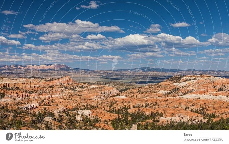 Bryce Canyon National Park Natur Landschaft Pflanze Erde Sand Luft Himmel Wolken Schönes Wetter Baum Wüste Bryce Amphitheater Sehenswürdigkeit Stein Erholung