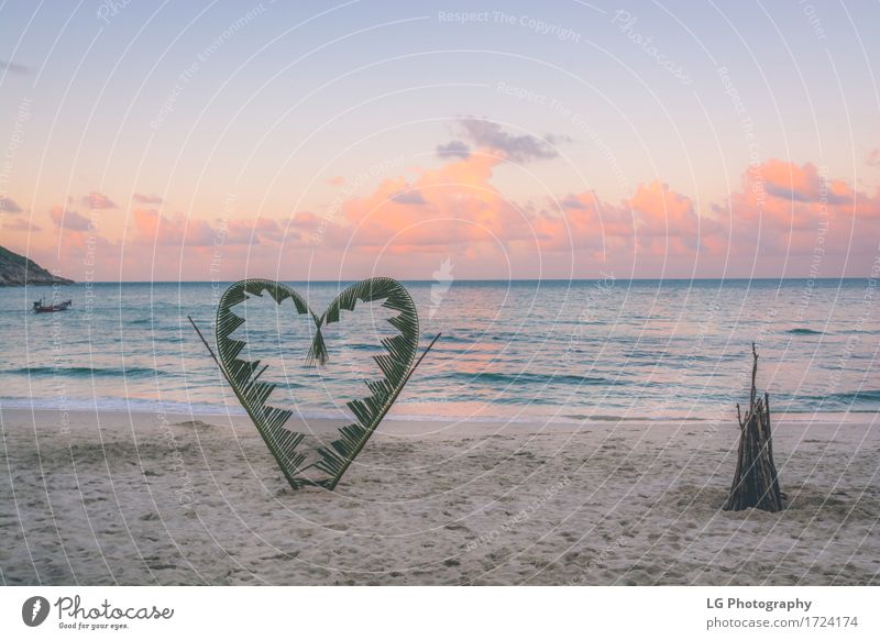 Palmzweige gebunden in die Form eines Herzens am Strand. Freude schön Ferien & Urlaub & Reisen Tourismus Meer Insel Valentinstag Natur Pflanze Sand Himmel
