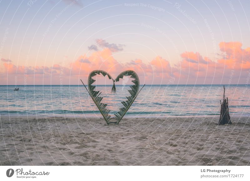Palmzweige auf einem Strand. Freude schön Ferien & Urlaub & Reisen Tourismus Meer Insel Valentinstag Natur Pflanze Sand Himmel Wolken Horizont Wärme Urwald Herz