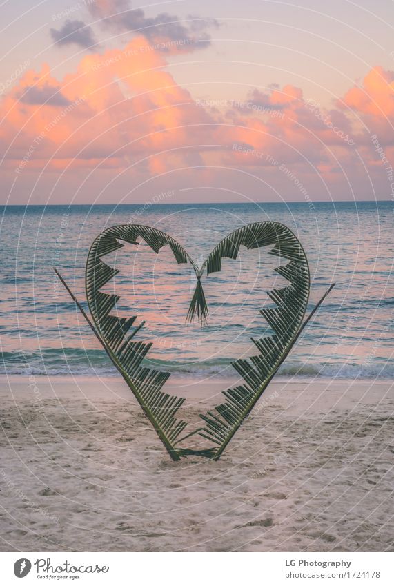 Palmzweige sind in die Form eines Herzens gebunden Freude schön Ferien & Urlaub & Reisen Tourismus Strand Meer Insel Valentinstag Natur Pflanze Sand Himmel