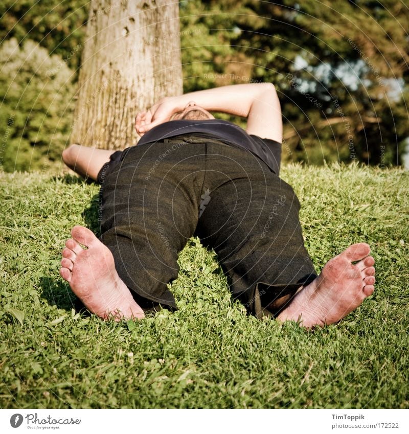 Schwarzfußeuropäer Außenaufnahme Garten Park Wiese schlafen Erholung Halbschlaf Geschnarche liegen ruhig Wellness dreckig Fuß Liegewiese Pause Zufriedenheit
