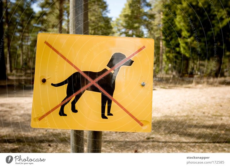 Hunde verboten Haustier gekreuzt Wald negativ verbieten restriktiv Park Mark begrenzen Zeichen erlaubt Menschenleer