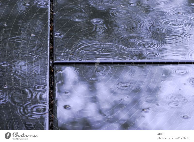 Endlich Regen! Farbfoto Außenaufnahme Tag Reflexion & Spiegelung Terrasse Stein nass Gefühle Glaube Traurigkeit Wandel & Veränderung