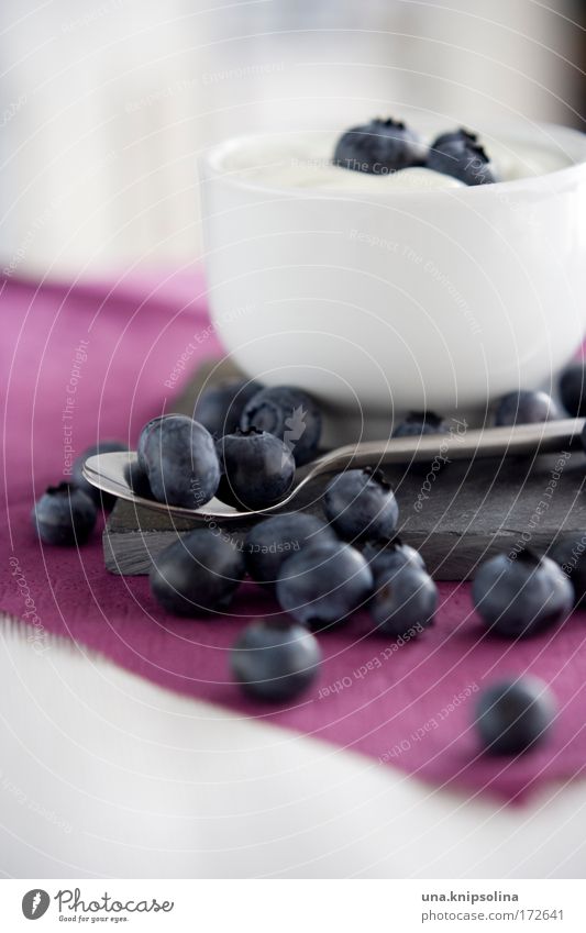 blaubeerjogurt Lebensmittel Joghurt Milcherzeugnisse Frucht Dessert Ernährung Frühstück Bioprodukte Vegetarische Ernährung Diät Gesundheit Blaubeeren Löffel
