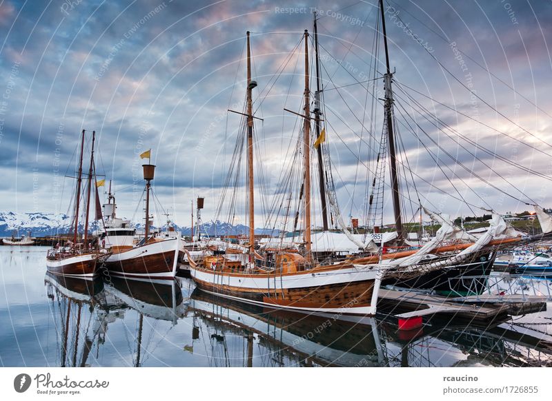 Schooners, ursprüngliches isländisches Segelboot schön Erholung Ferien & Urlaub & Reisen Tourismus Abenteuer Sommer Meer Menschengruppe Natur Landschaft Hafen