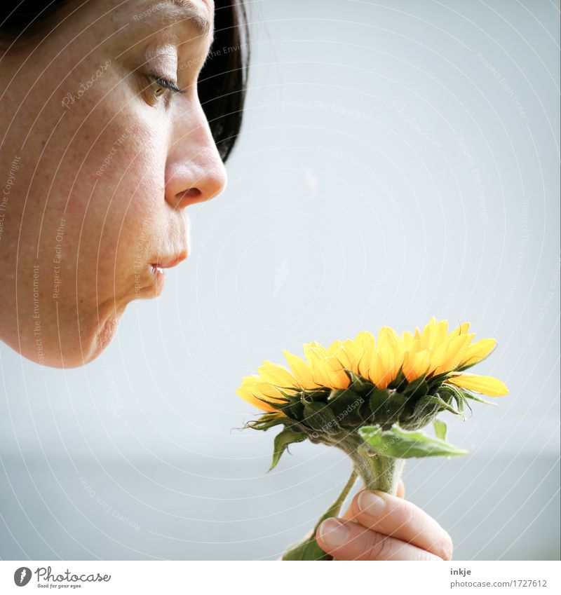 Pusteblume aus Tlön Lifestyle Freude Freizeit & Hobby Frau Erwachsene Leben Gesicht 1 Mensch 30-45 Jahre Sommer Schönes Wetter Blume Blüte Sonnenblume