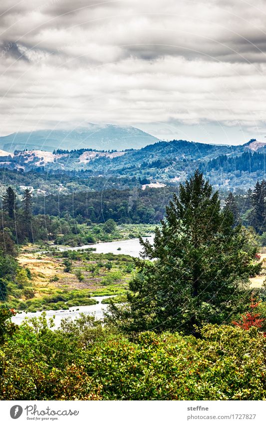 Wildnis Natur Landschaft Wolken Sommer Wetter Baum Wald Berge u. Gebirge Gipfel Fluss wandern Idylle USA Oregon Farbfoto mehrfarbig Außenaufnahme Menschenleer