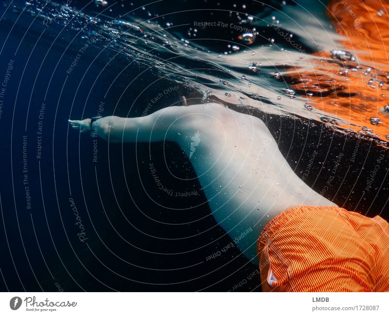 Unter-Wasser-Spiegel Freizeit & Hobby Wassersport Schwimmen & Baden tauchen Schwimmbad Mensch maskulin Mann Erwachsene Körper Rücken Arme 1 30-45 Jahre Wellen
