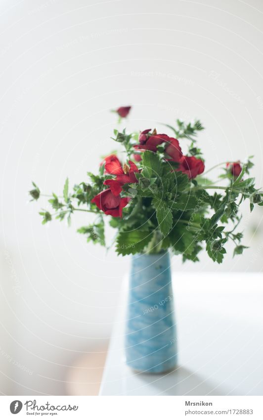 eingefangen Blume Grünpflanze ästhetisch Design Vase Blumenstrauß Muttertag Geburtstag Erdbeerblüte Keramik hell-blau rot grün weich Dekoration & Verzierung