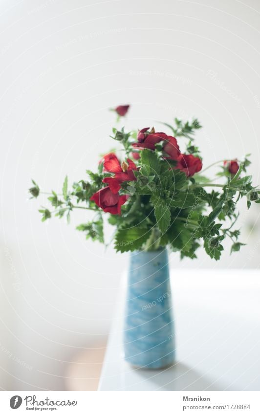 rot auf grün Pflanze ästhetisch Vase hell-blau Keramik Muttertag Geburtstag Erdbeerblüte Grünpflanze Blumenstrauß gepflückt Farbfoto Innenaufnahme Menschenleer