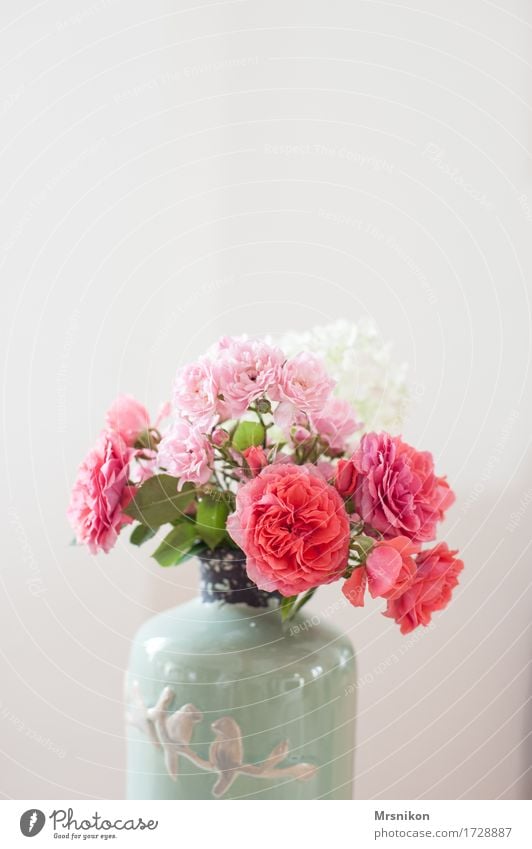 Rosen Pflanze Blume Blatt Blüte leuchten Vase Blumenstrauß Muttertag Geburtstag schenken rosa rosé Keramik schön lieblich sommerlich gepflückt Farbfoto