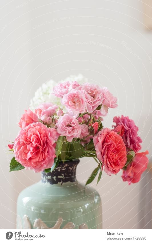 Rosen ästhetisch Vase Keramik Blumenstrauß Rosenblüte Blütenknospen Rosengewächse Rosette Muttertag Geburtstag Valentinstag schenken gepflückt