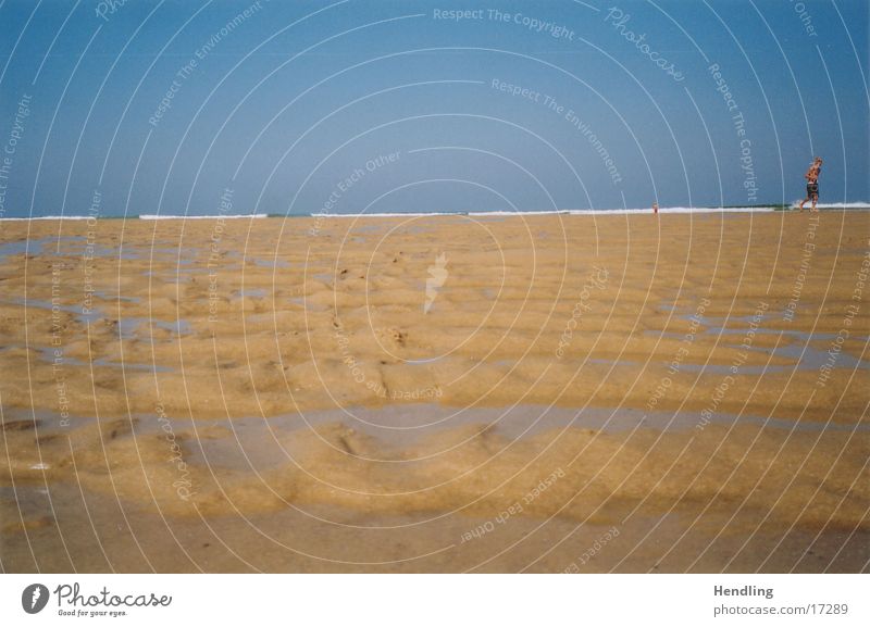 Yo rennt vor der Ebbe weg Frankreich Europa Ebe Wellenstrucktur im Sand Yo rennt weg viel Sand Atlantikküste