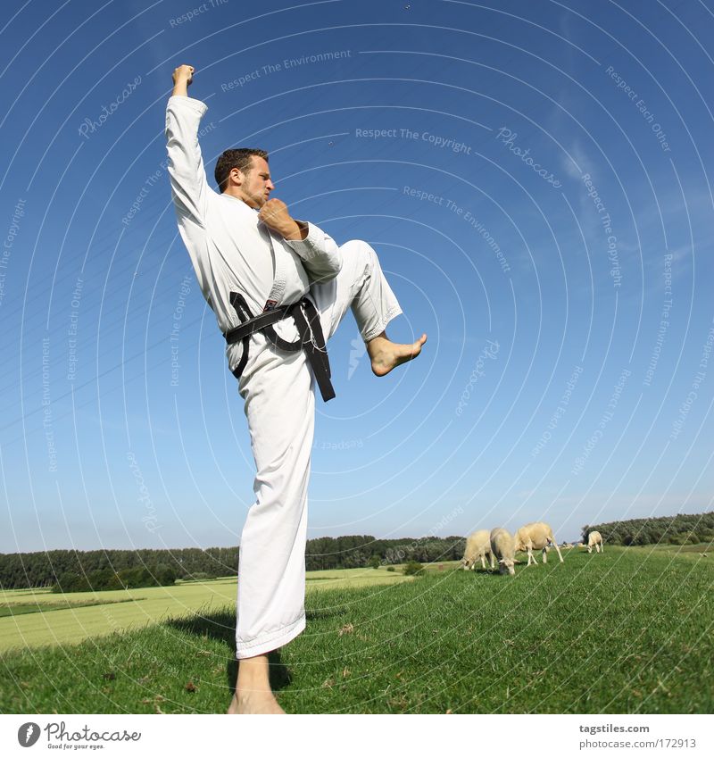 ONE STEP BEYOND Kämpfer Kampfsport Taekwondo Karate Fighter kämpfen Deich Schaf schwarz Gürtel Kraft stark Kontrolle Fußtritt treten Farbfoto Fluchtpunkt