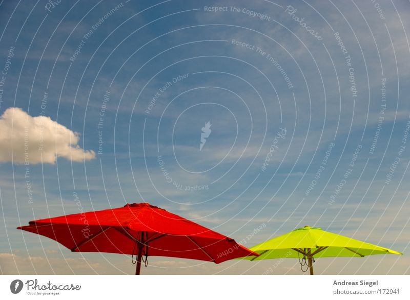 Rot-Grün Farbfoto Außenaufnahme Menschenleer Textfreiraum oben Sonnenlicht Freude Wohlgefühl Freizeit & Hobby Ferien & Urlaub & Reisen Tourismus Sommer
