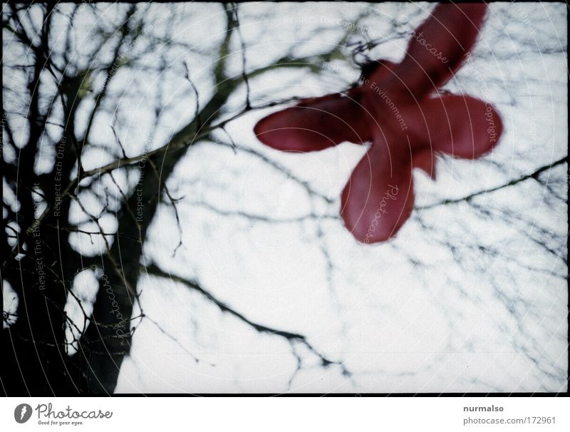 Roter Schmetterling in Tristess Farbfoto Morgen Kunst Skulptur Umwelt Natur Winter schlechtes Wetter Baum Park fallen fliegen hängen ästhetisch einfach gruselig