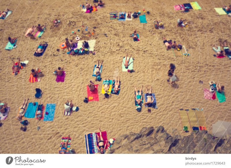 Irgendwo ist immer Sommer Ferien & Urlaub & Reisen Tourismus Sommerurlaub Sonnenbad Strand Mensch Körper Menschenmenge Schönes Wetter Felsen Bikini Badehose