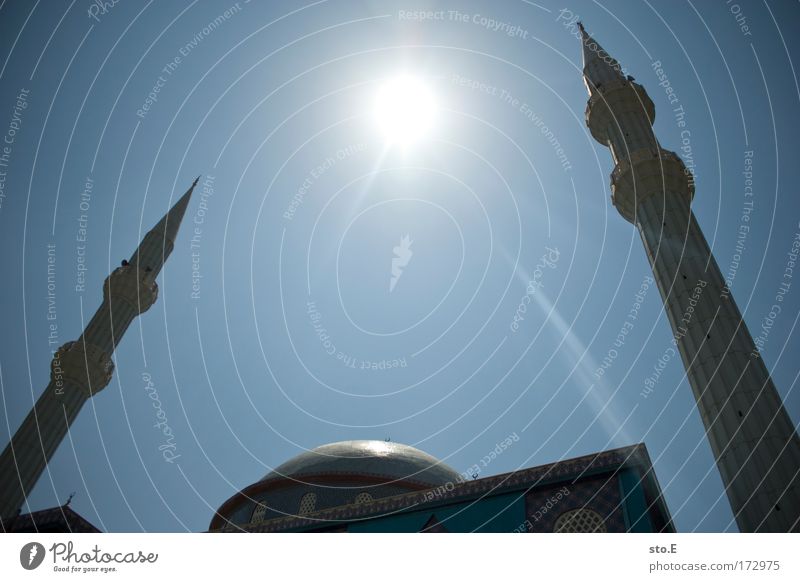 moschee Farbfoto Außenaufnahme Menschenleer Textfreiraum oben Tag Licht Silhouette Lichterscheinung Sonnenlicht Gegenlicht Tourismus Sightseeing Kultur Kirche