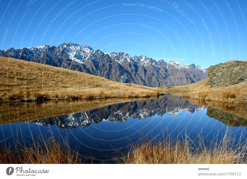 Kelvin Hights Landschaft Wasser Himmel Wolkenloser Himmel Herbst Schönes Wetter Sträucher Hügel Felsen Berge u. Gebirge Schneebedeckte Gipfel Seeufer