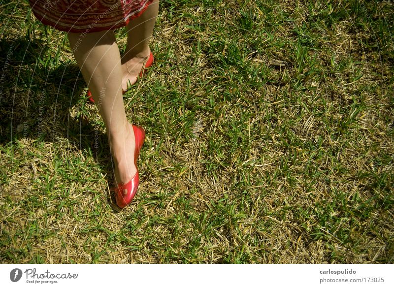 Farbfoto Außenaufnahme Morgen feminin Beine Farbe Fuß Rasen Feld Schuhe rot