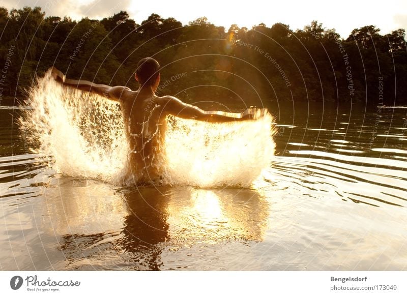 Wasserengel Ferien & Urlaub & Reisen Freiheit Sommerurlaub Sonne Wassersport Mensch Junger Mann Jugendliche Körper Rücken Arme 1 Natur Wassertropfen