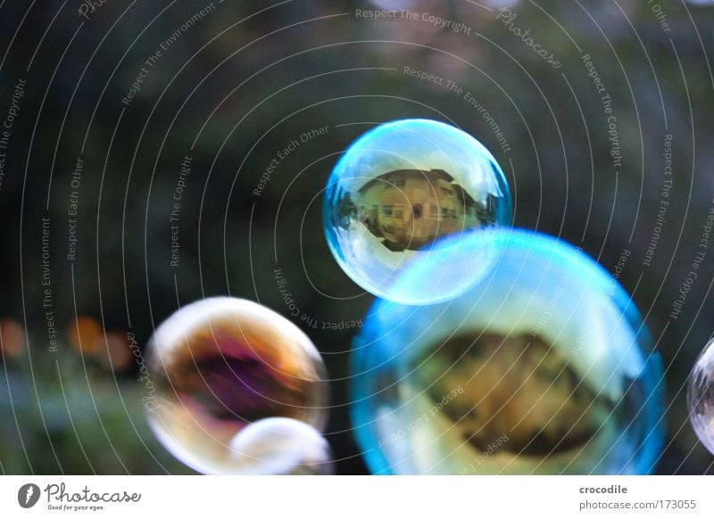Seifenblasen Farbfoto Außenaufnahme Detailaufnahme Makroaufnahme Luftaufnahme Menschenleer Textfreiraum links Dämmerung Unschärfe Schwache Tiefenschärfe
