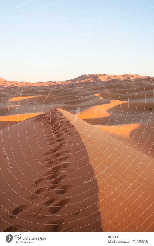 Sahara I Ferien & Urlaub & Reisen Ausflug Abenteuer Ferne Freiheit Sightseeing Safari Expedition Sommer Sommerurlaub Sonne Natur Landschaft Sand Sonnenaufgang