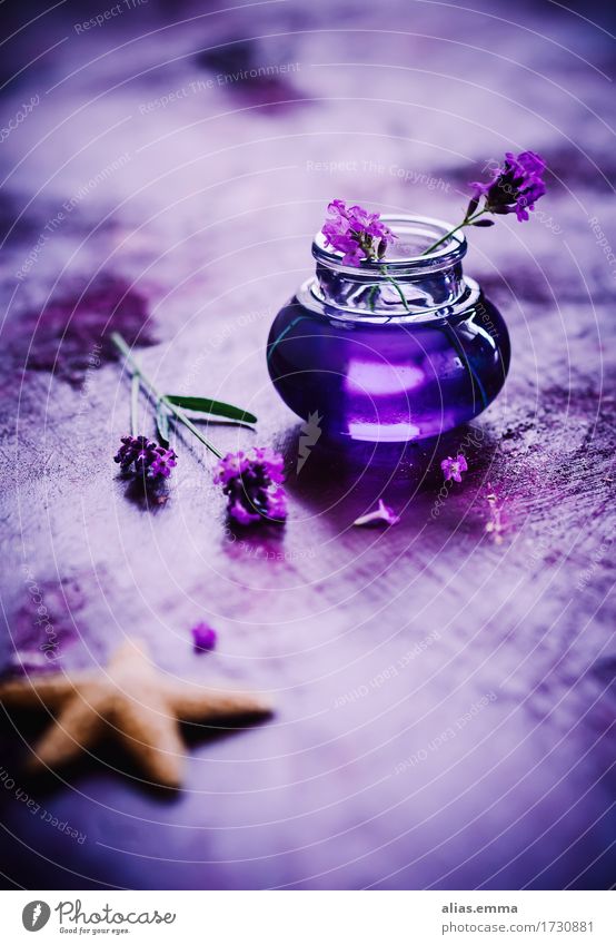 Lavendel-Sirup violett Zucker süß Getränk Seestern Blühend Blüte Kräuter & Gewürze Hintergrundbild Pflanze aromatisch Geschmackssinn Glasflasche Lebensmittel
