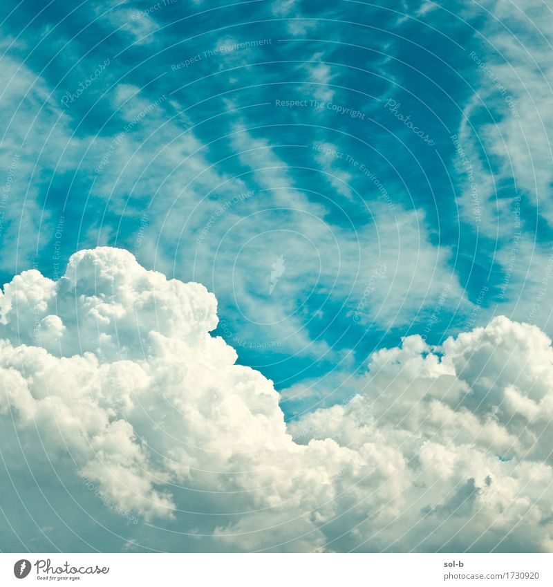 dnt vn ntc Wellness harmonisch Sinnesorgane Meditation Umwelt Natur Luft Himmel Wolken Klima Wetter Schönes Wetter frisch gigantisch groß oben wild blau