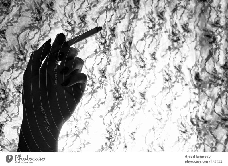 Black Flamingo Stil Design Nagellack Sinnesorgane ruhig Nachtleben ausgehen Frau Erwachsene Hand Finger Stoff Accessoire atmen genießen Rauchen reich