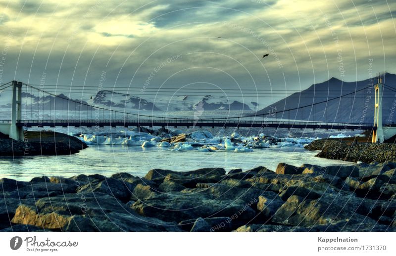 Jökulsárlón auf Island Umwelt Natur Wasser Eis Frost Gletscher Bucht Fjord Fluss Europa Menschenleer Brücke gigantisch Unendlichkeit Bewegung Horizont