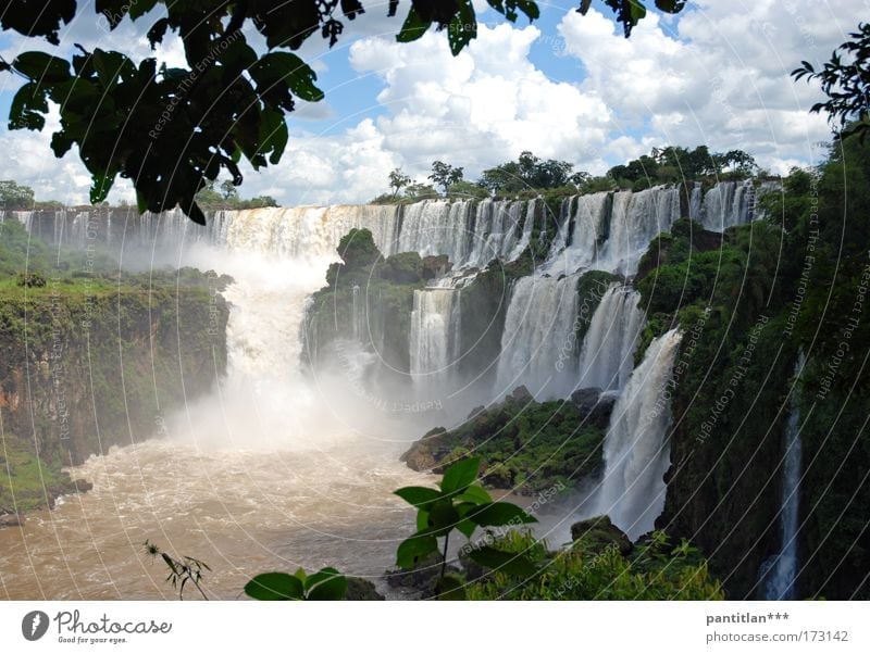 Cascadas Ferien & Urlaub & Reisen Tourismus Brasilien Iguazu Fälle Paraguay Dschungel Südamerika Natur Landschaft Pflanze Urelemente Wasser Himmel Wolken Urwald