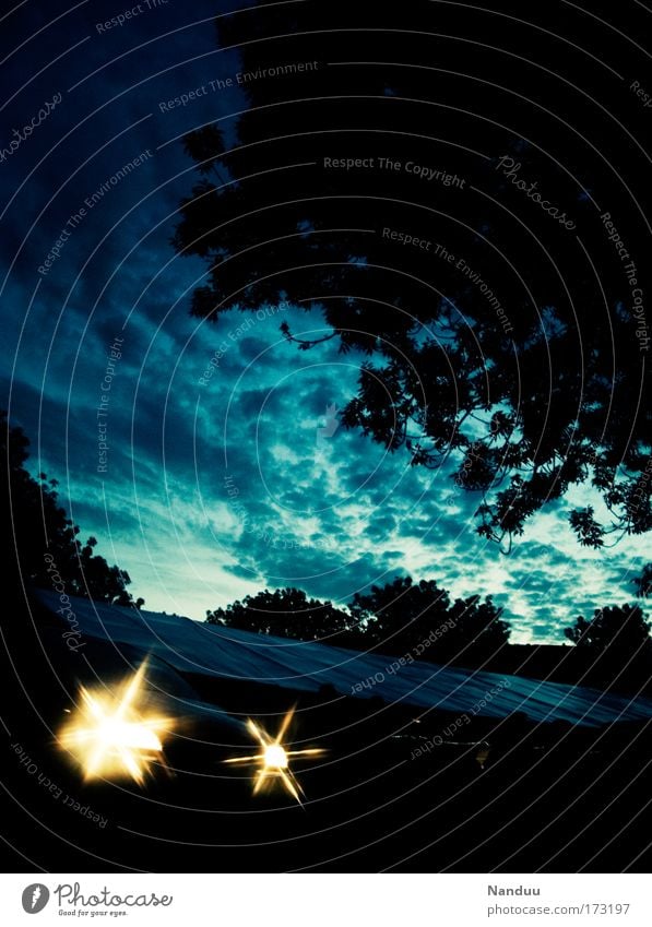 Kein Sternenhimmel Farbfoto Außenaufnahme Menschenleer Textfreiraum oben Dämmerung Gegenlicht Wolken Sonnenaufgang Sonnenuntergang Baum blau Sommerabend