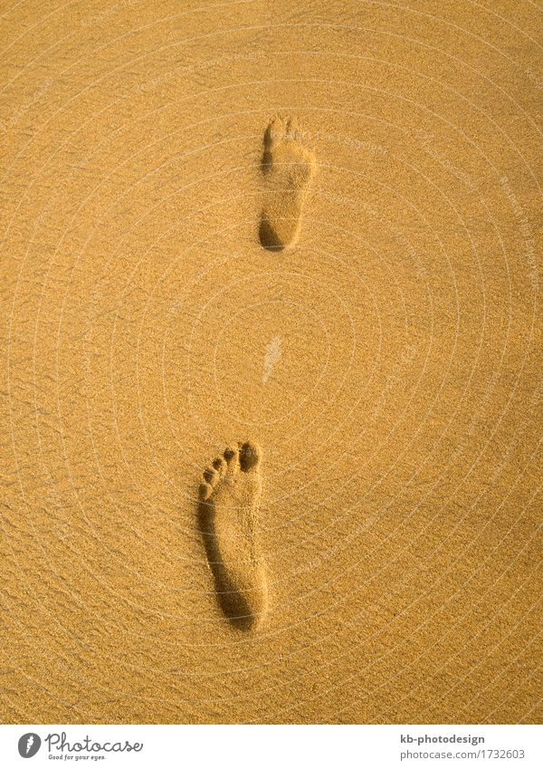 Footprint at the beach in Sri Lanka Erholung Ferien & Urlaub & Reisen Tourismus Strand Sand gehen sunny footprint footprints barefoot time-out sky landscape