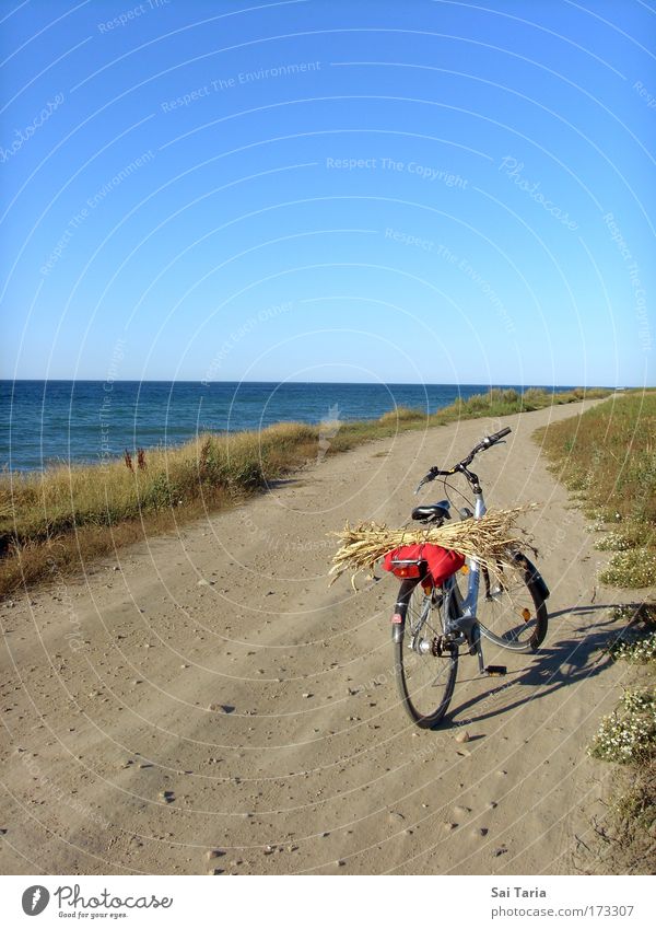 Fahrradtour Farbfoto Außenaufnahme Tag Vogelperspektive Ferien & Urlaub & Reisen Sommerurlaub Landschaft fahren Freude Gelassenheit