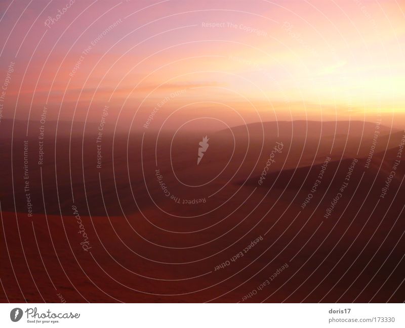 Namib Dessert Farbfoto Außenaufnahme Menschenleer Textfreiraum rechts Textfreiraum unten Morgendämmerung Licht Schatten Lichterscheinung Sonnenlicht