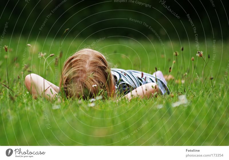 Relax Farbfoto mehrfarbig Außenaufnahme Tag harmonisch Wohlgefühl Erholung ruhig Duft Sommer Mensch Kind Mädchen 1 3-8 Jahre Kindheit Umwelt Natur Landschaft