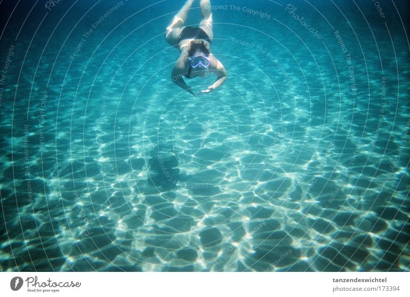 In den unendlichen Weiten Farbfoto Unterwasseraufnahme Reflexion & Spiegelung Ganzkörperaufnahme Blick nach vorn Mensch Frau Erwachsene Natur Sand Wasser Sommer