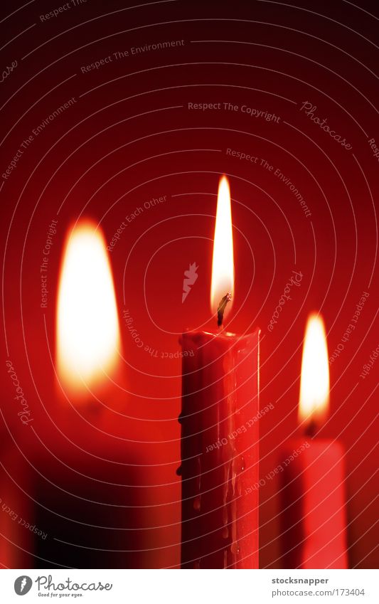 Kerzen rot Licht Flamme Feuer Weihnachten & Advent Ferien & Urlaub & Reisen Parafin Nahaufnahme Vax schmelzen zerlaufen geschmolzen drei 3 beleuchtet