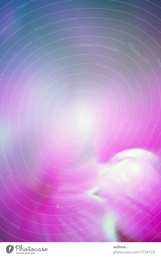 Blütenaquarell, Design 'Fruchtig-frisch' Blume Blütenblatt Duft weich blau violett rosa Aquarell sanft duftig verträumt zart Pastellton Meditation Experiment