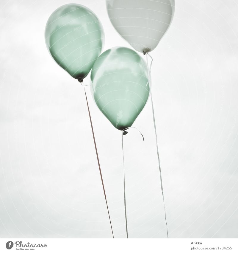 Zwei grüne und ein weißer Luftballon , die zum Himmel aufsteigen und das Bild verlassen fliegen frei oben retro rund Zufriedenheit Partnerschaft gleich Glück